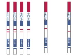 CRYPTOCCOCUS TESTE RÁPIDO - 120 TESTES